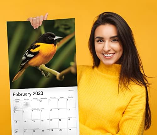 Songbirds 2023 Hangable Wall Calendar รายเดือน - 12 x 24 เปิด - อเมริกาเหนือสัตว์ป่าที่สวยงามสมุน & การวางแผน